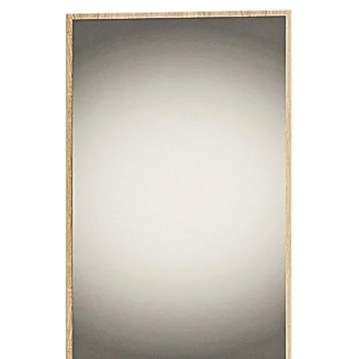 Mirror 600x950 "Eco"